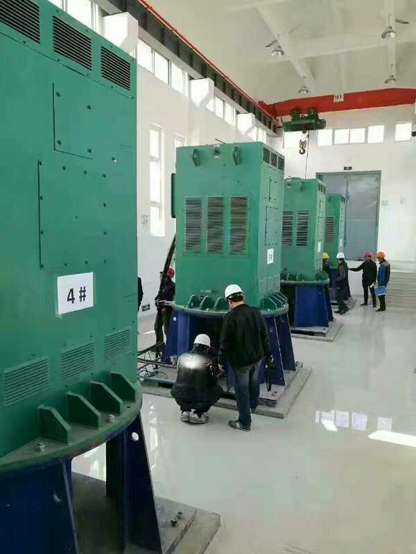 盈江某污水处理厂使用我厂的立式高压电机安装现场一年质保